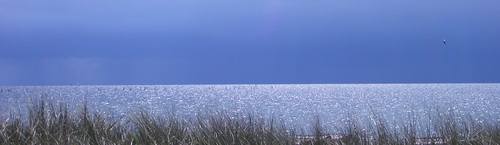 Fehmarn - Blick aufs Meer.